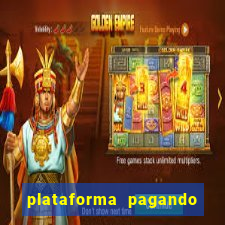 plataforma pagando bem hoje